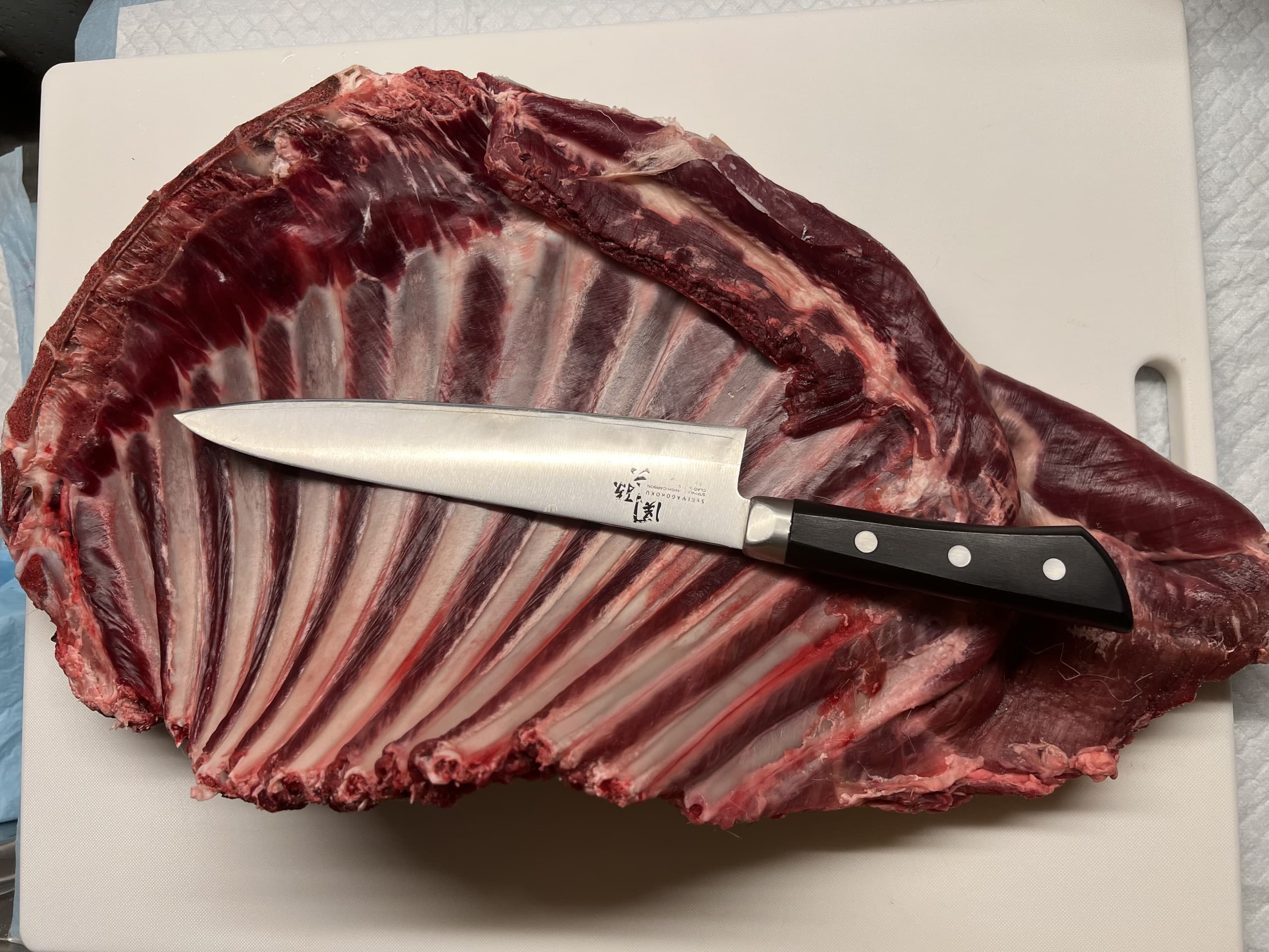 鹿肉とナイフ